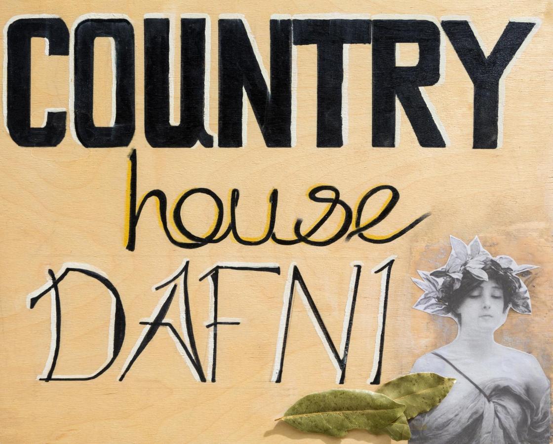 Country House Dafni Ανω Βασιλικος Εξωτερικό φωτογραφία